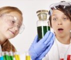 tamzpublicschool.com